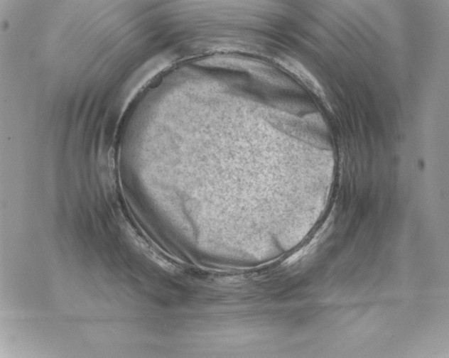 X0000070830798200607142339