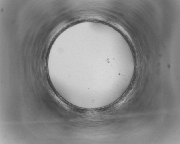 X0000070830799200607142339