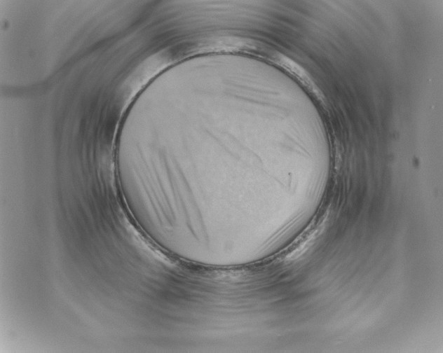 X0000070830802200607142339