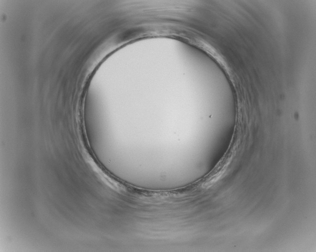 X0000070830803200607142339