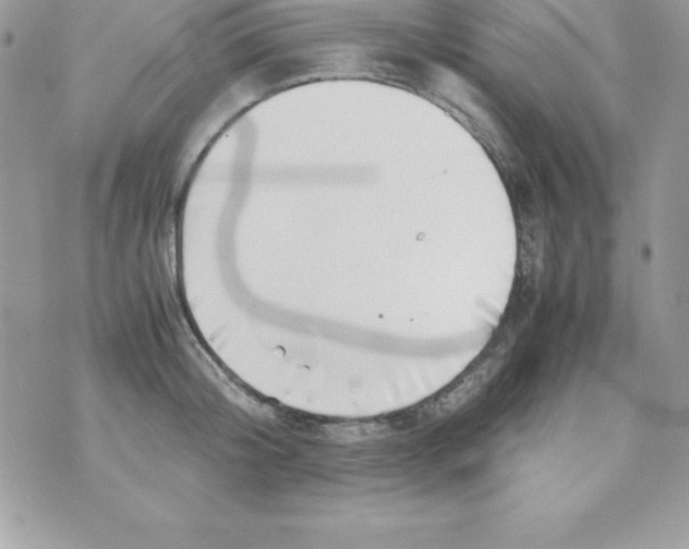 X0000070830804200607142339