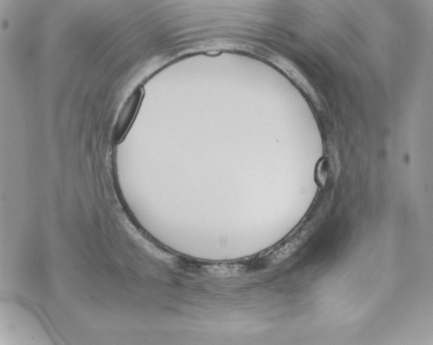 X0000070830805200607142339