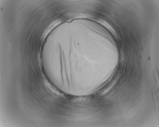 X0000070830806200607142339