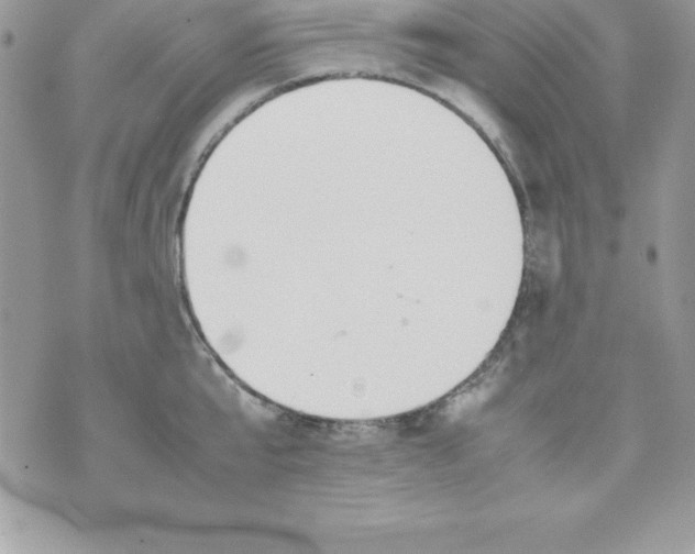 X0000070830807200607142339