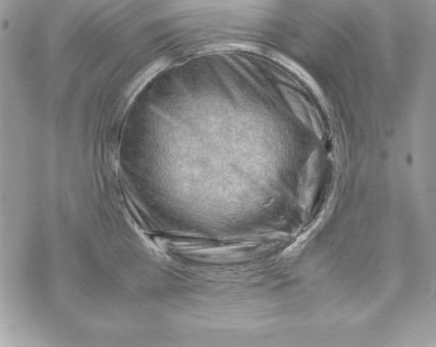 X0000070830809200607142339