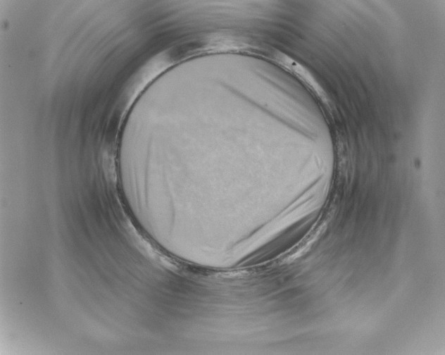 X0000070830810200607142339