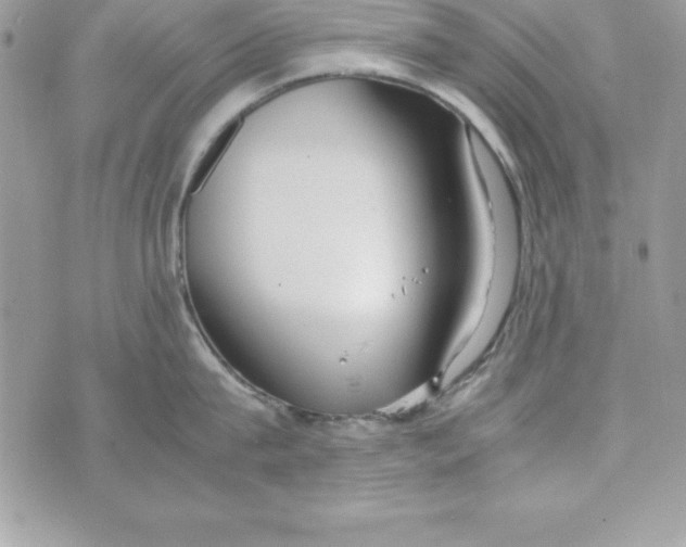 X0000070830815200607142339