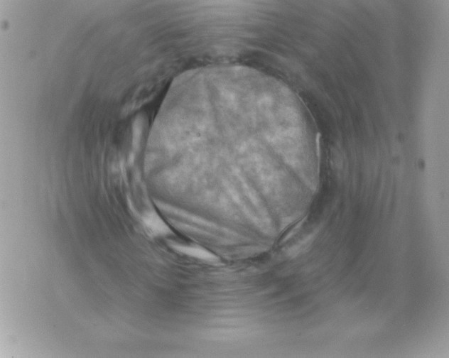 X0000070830818200607142338