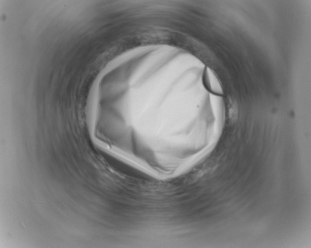 X0000070830819200607142338