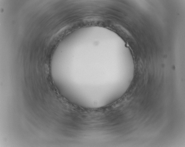 X0000070830821200607142338