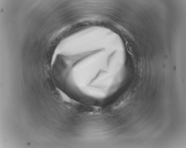 X0000070830822200607142338