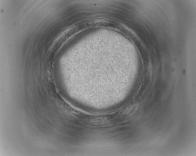 X0000070830823200607142338