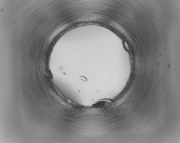 X0000070830826200607142338