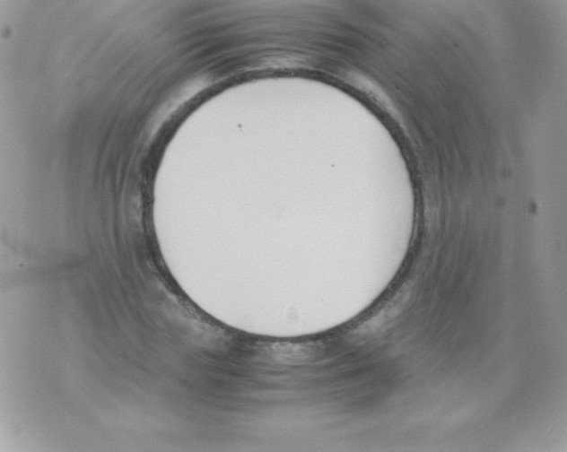 X0000070830827200607142338