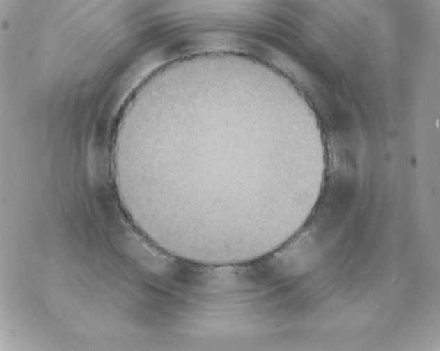 X0000070830828200607142338