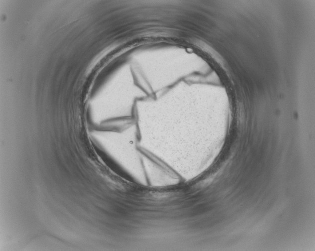 X0000070830829200607142338