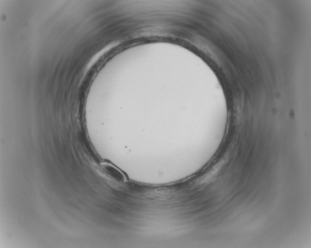 X0000070830830200607142338