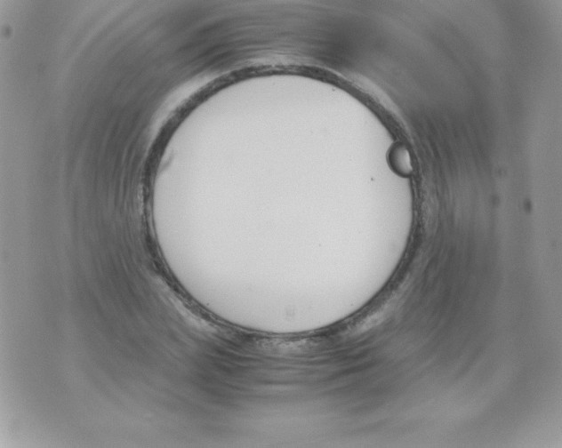 X0000070830831200607142338