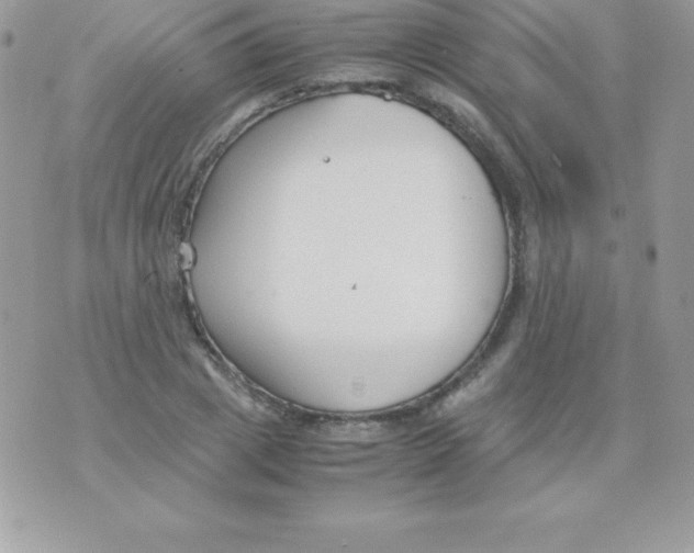 X0000070830833200607142339