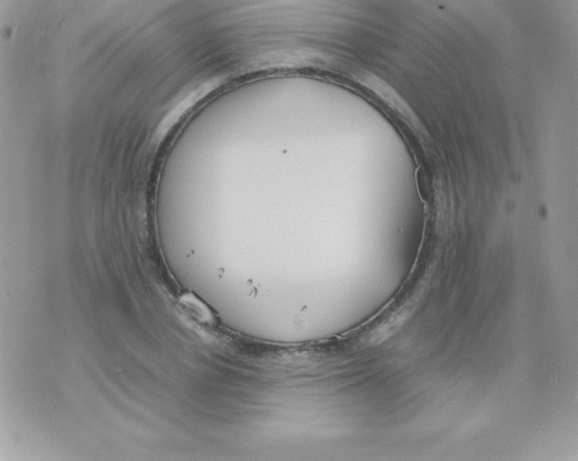 X0000070830834200607142339