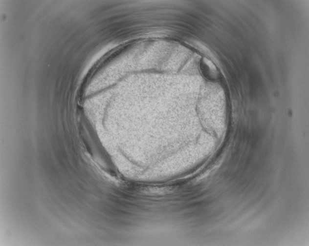 X0000070830835200607142339