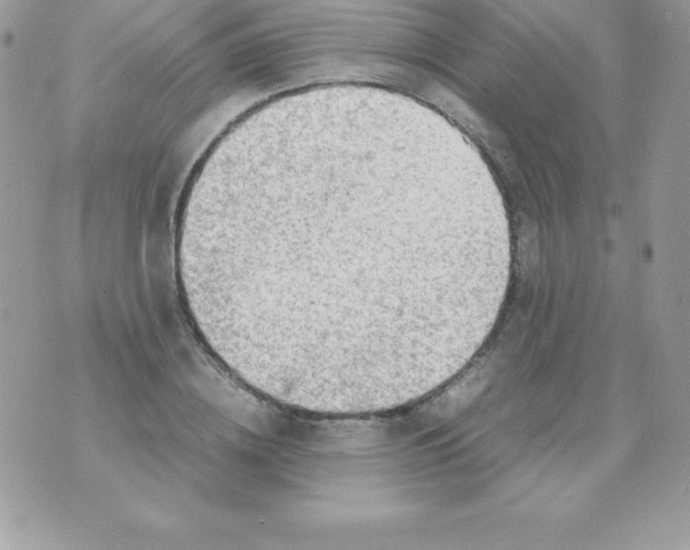 X0000070830836200607142339