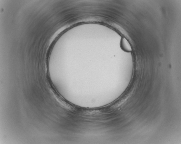 X0000070830837200607142339