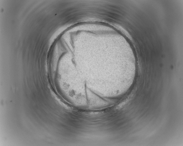 X0000070830839200607142339