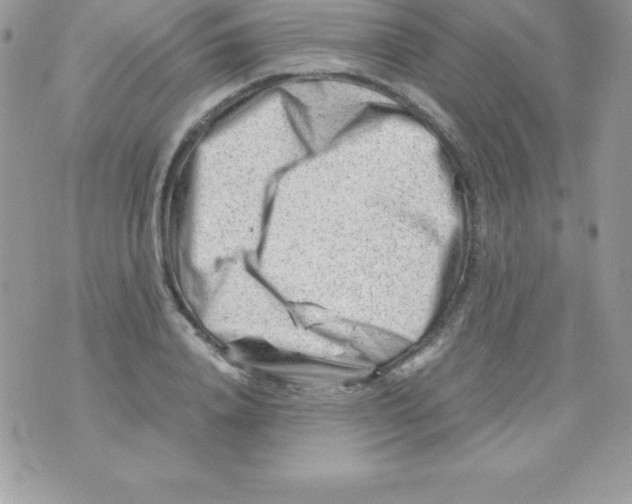 X0000070830840200607142339