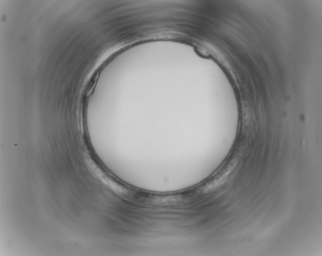 X0000070830843200607142339