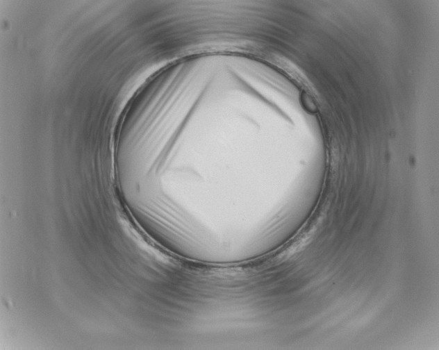 X0000070830844200607142339