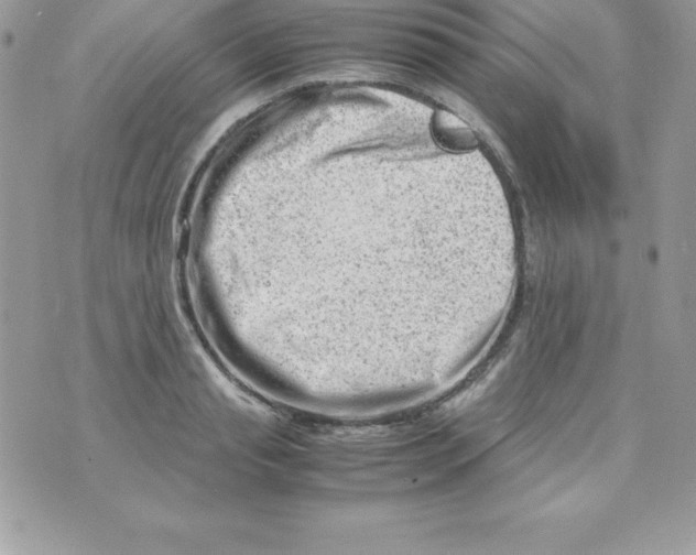 X0000070830845200607142339