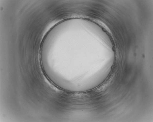 X0000070830847200607142339