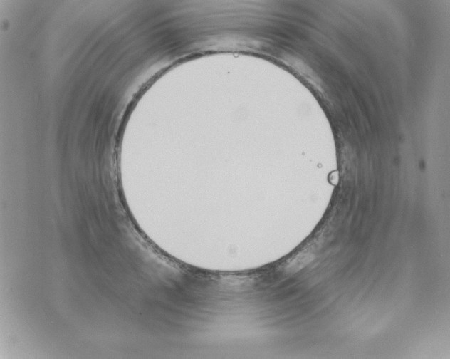 X0000070830848200607142339