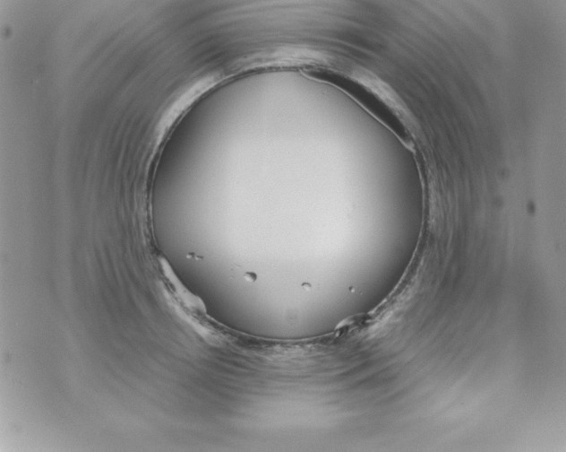 X0000070830850200607142339