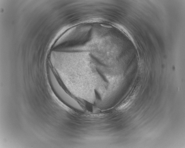 X0000070830851200607142339