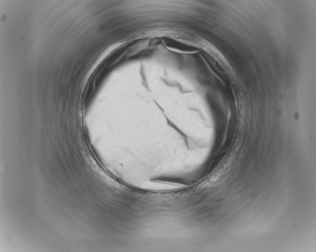 X0000070830852200607142339