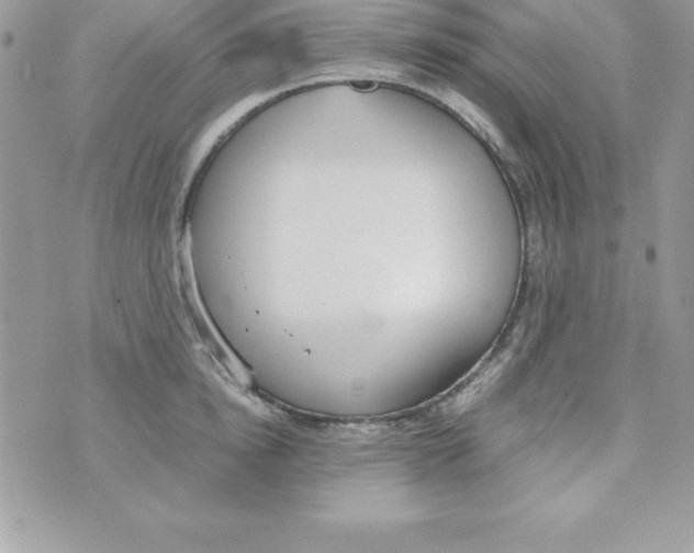 X0000070830854200607142339