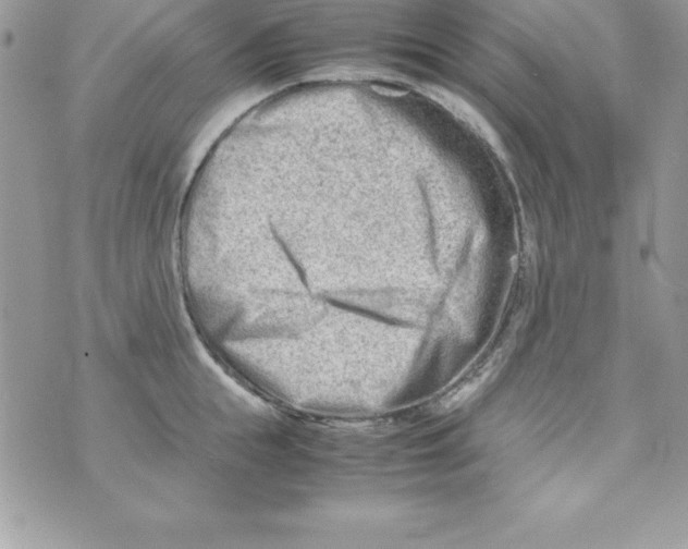 X0000070830855200607142339