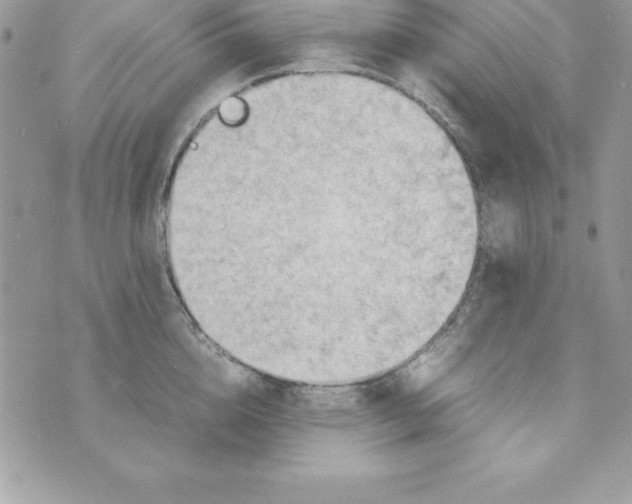 X0000070830856200607142339