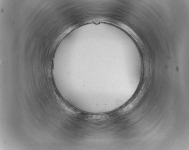 X0000070830857200607142339