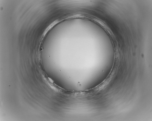 X0000070830858200607142339