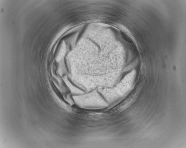 X0000070830859200607142339