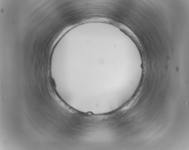 X0000070830860200607142339