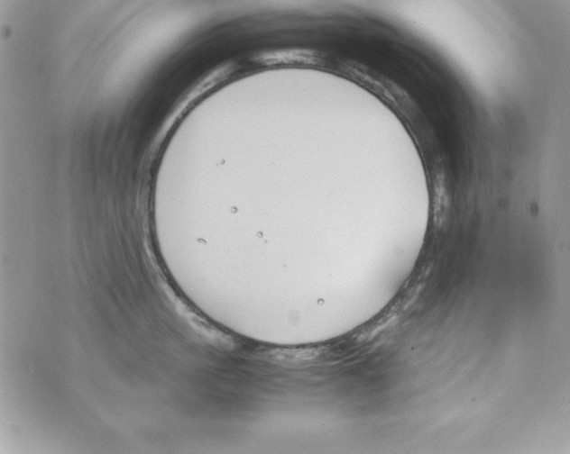 X0000070830861200607142339