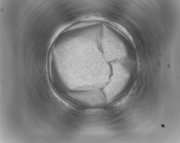 X0000070830863200607142339