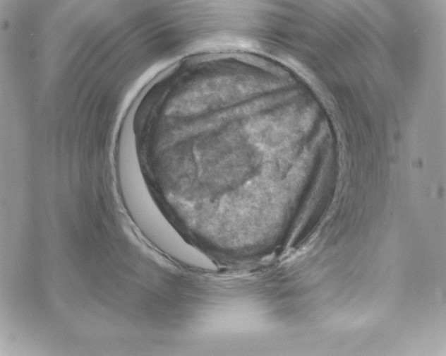 X0000070830864200607142339