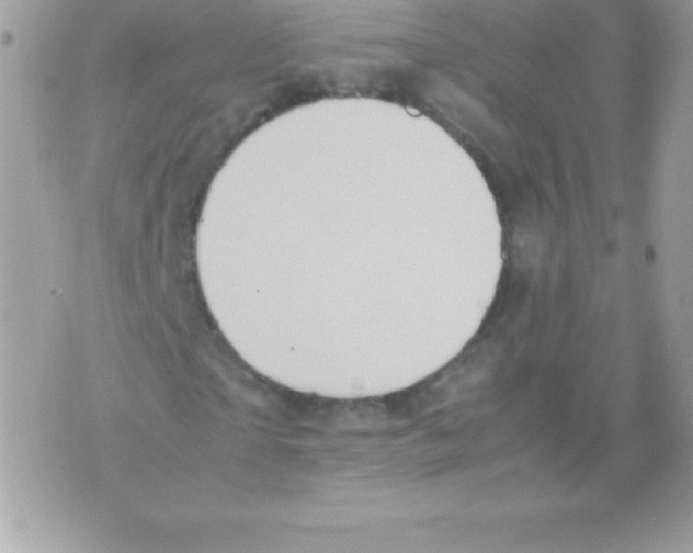 X0000070830865200607142338