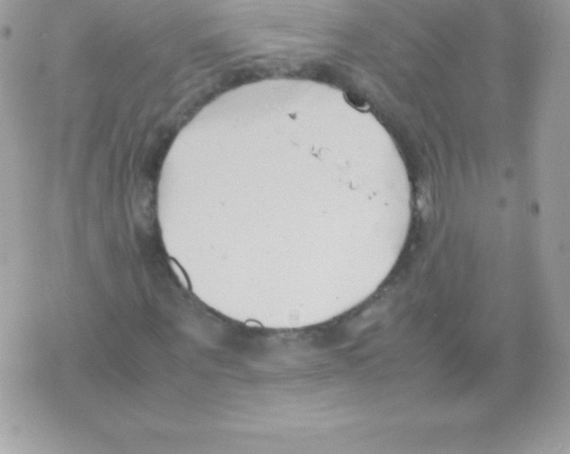 X0000070830867200607142338