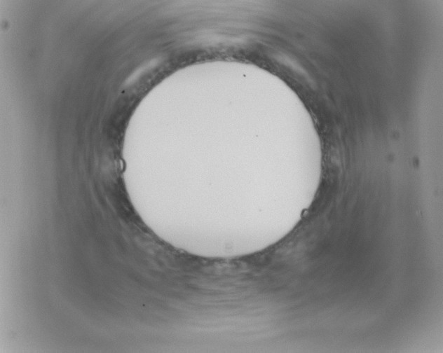 X0000070830869200607142338